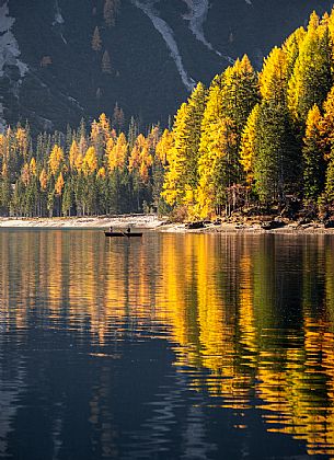 Rowing boat on the Lago di Braies or Pragser Wildsee in autumn, Pustertal, dolomites, South Tyrol, Italy, Europe